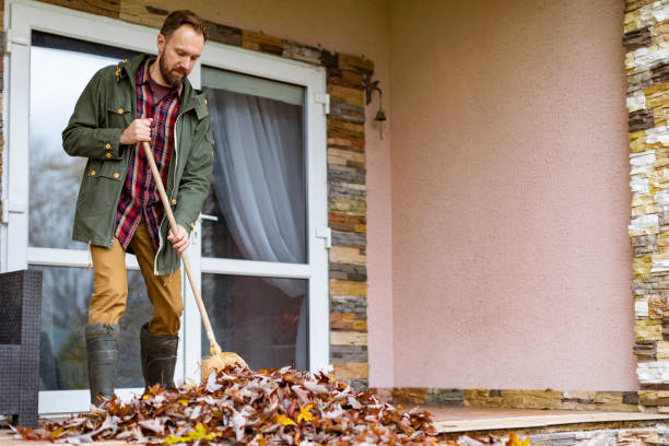Best Furniture Removal Near Me  in Banning, CA